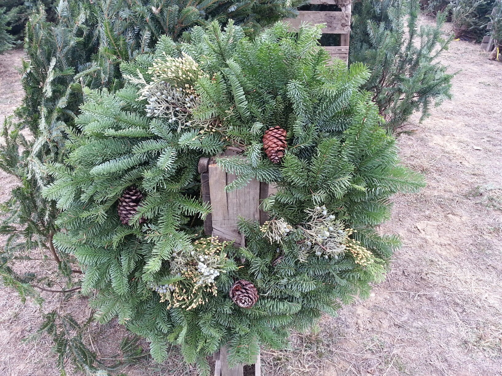 Christmas wreath on fence post