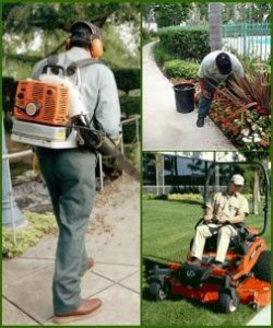 Big M Services team mowing and leaf blowing lawn