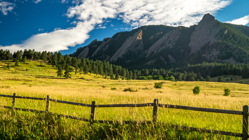 Boulder Co carpet cleaning