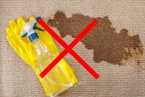 Boulder Carpet Cleaning