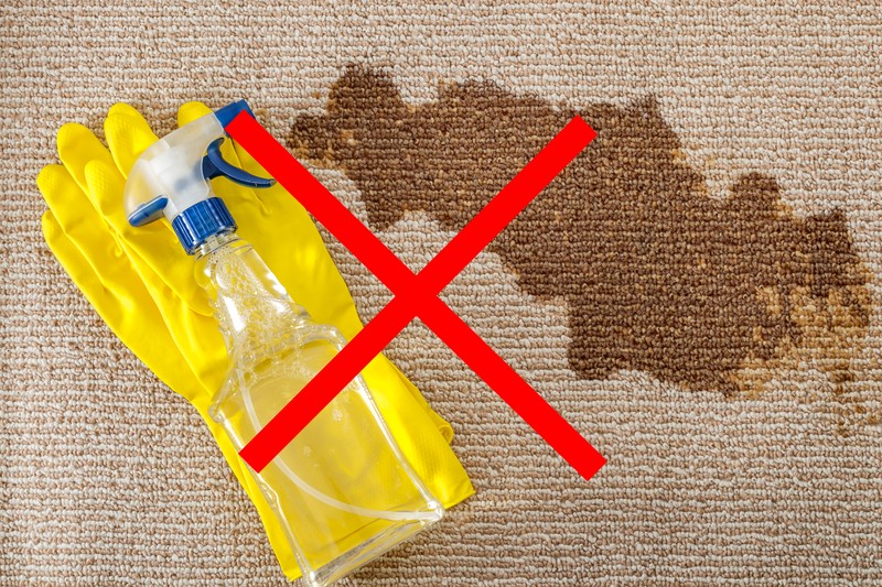 Carpet Cleaning