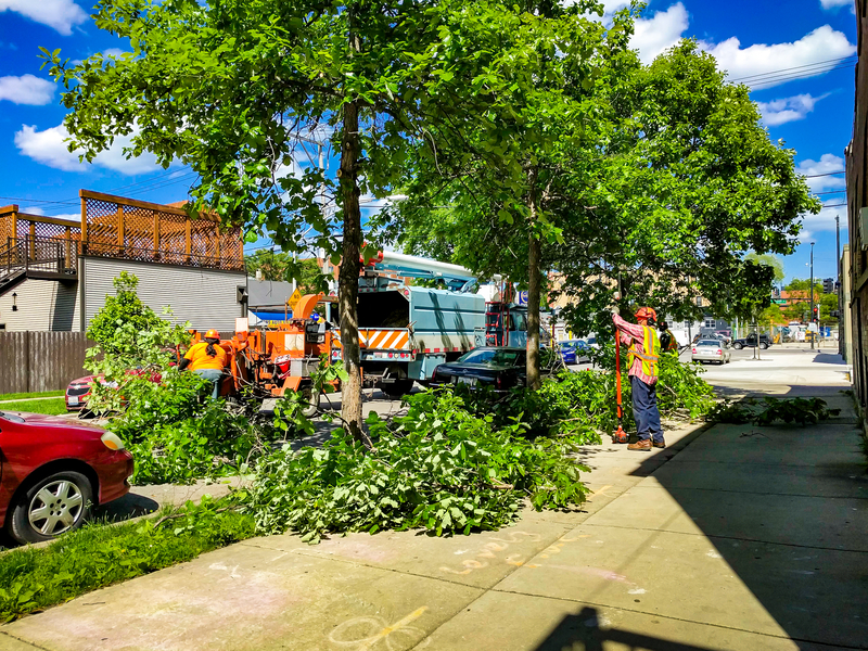 Lanscape maintenance